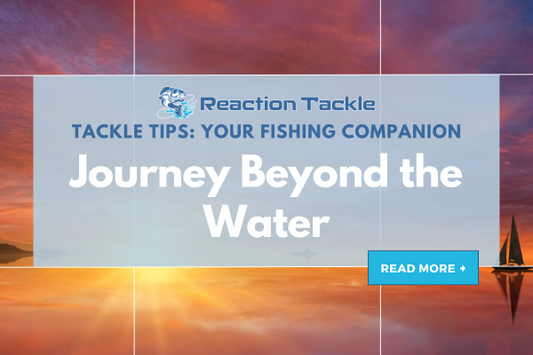 Journey Beyond the Water