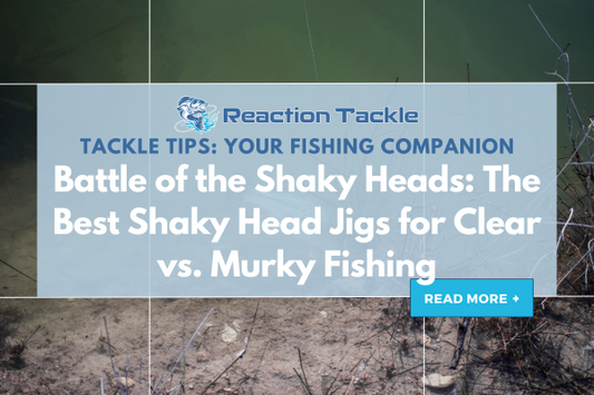 Battle of the Shaky Heads: The Best Shaky Head Jigs for Clear vs. Murky Fishing
