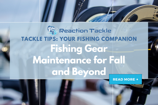 Fishing Gear Maintenance for Fall and Beyond