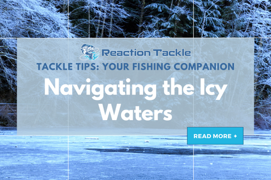 Navigating the Icy Waters