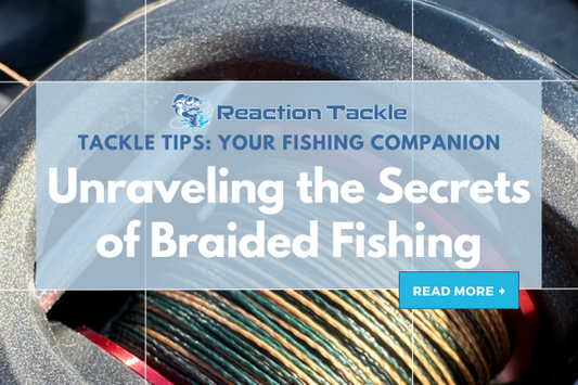Unraveling the Secrets of Braided Fishing