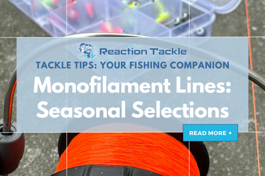 Monofilament Lines: Seasonal Selections