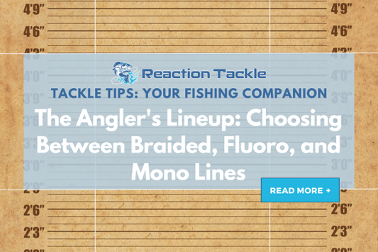 The Angler's Lineup: Choosing Between Braided, Fluorocarbon, and Monofilament Fishing Lines