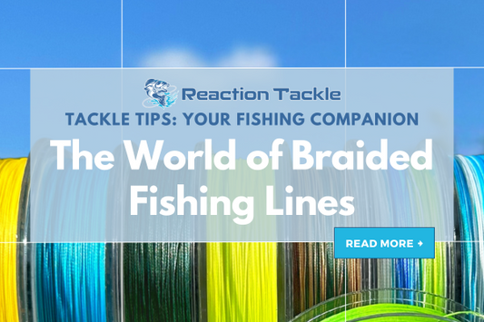 The World of Braided Fishing Lines