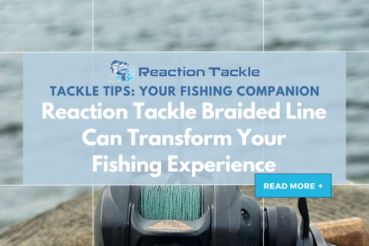 Reaction Tackle Braided Line Can Transform Your Fishing Experience