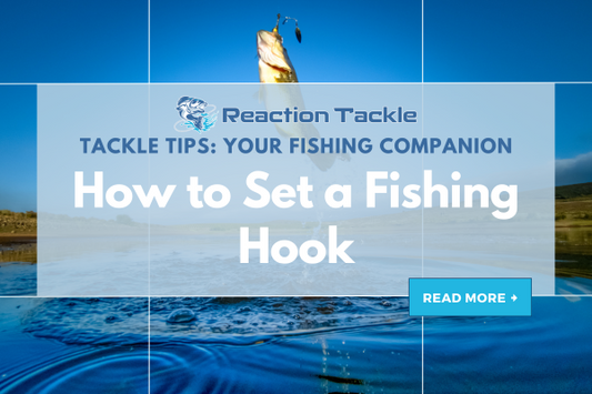 How to Set a Fishing Hook