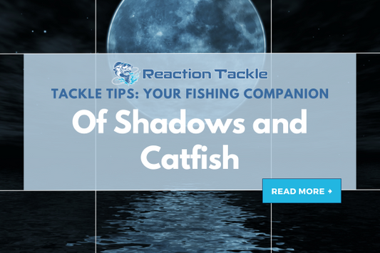 Of Shadows and Catfish