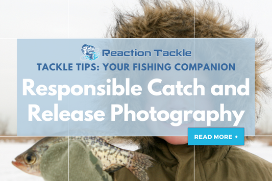 Responsible Catch and Release Photography