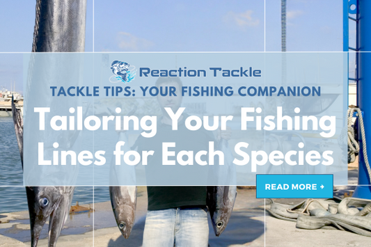Tailoring Your Fishing Lines for Each Species
