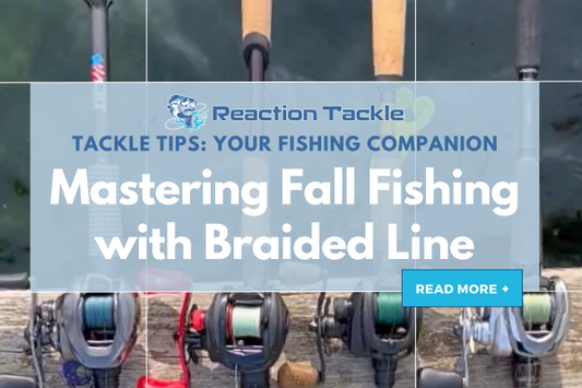 Reaction Tackle, Tackle Tips: Your Fishing Companion