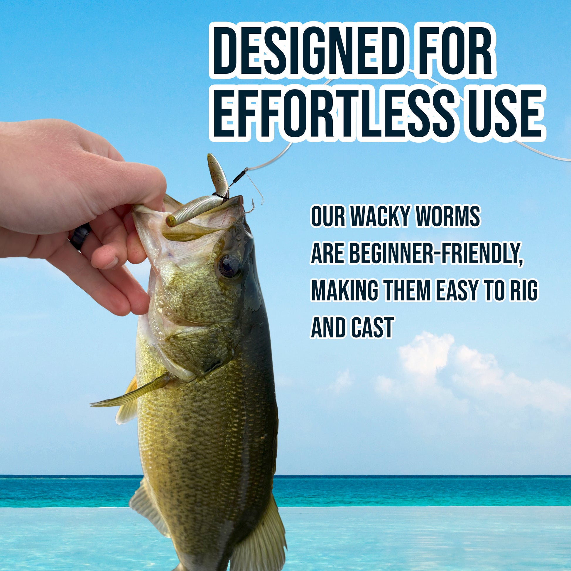 Wacky Worm Fishing H  Plastic worms, Bass fishing lures, Fishing